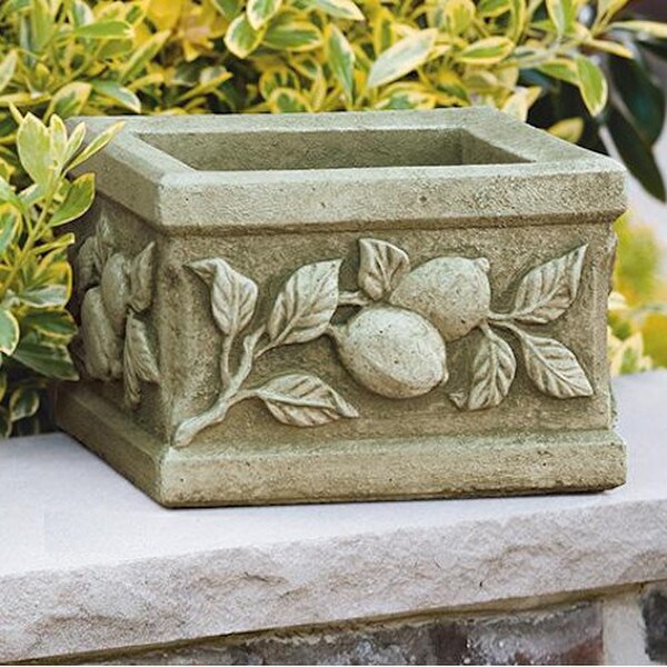Mediterranean Square Limone Planter Cement Garden Lemons Urns